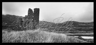 Schottland Ruine 2